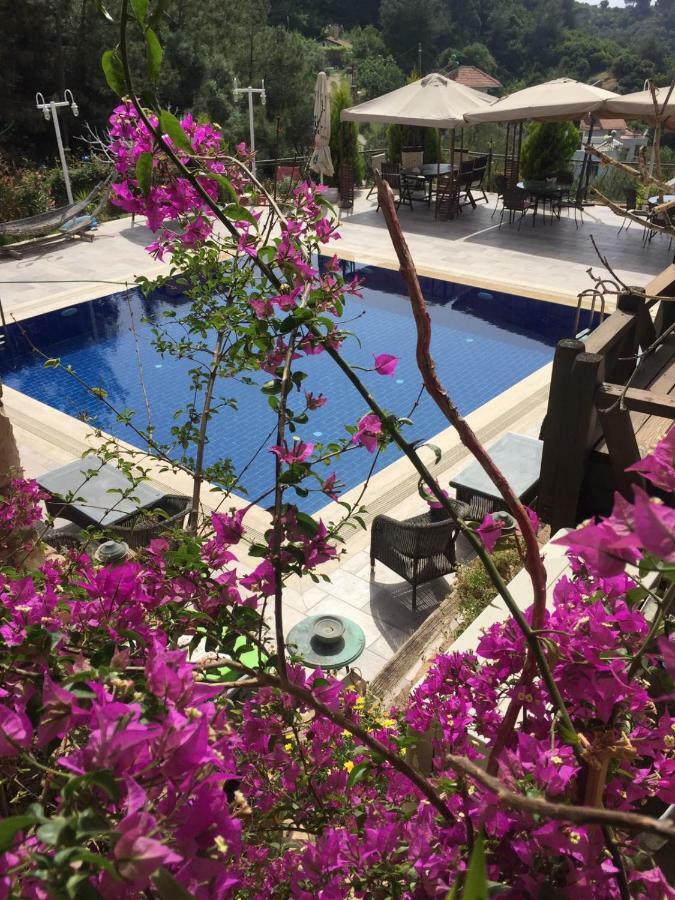 The Stone Castle Boutique Hotel Ağaçlı Exteriör bild